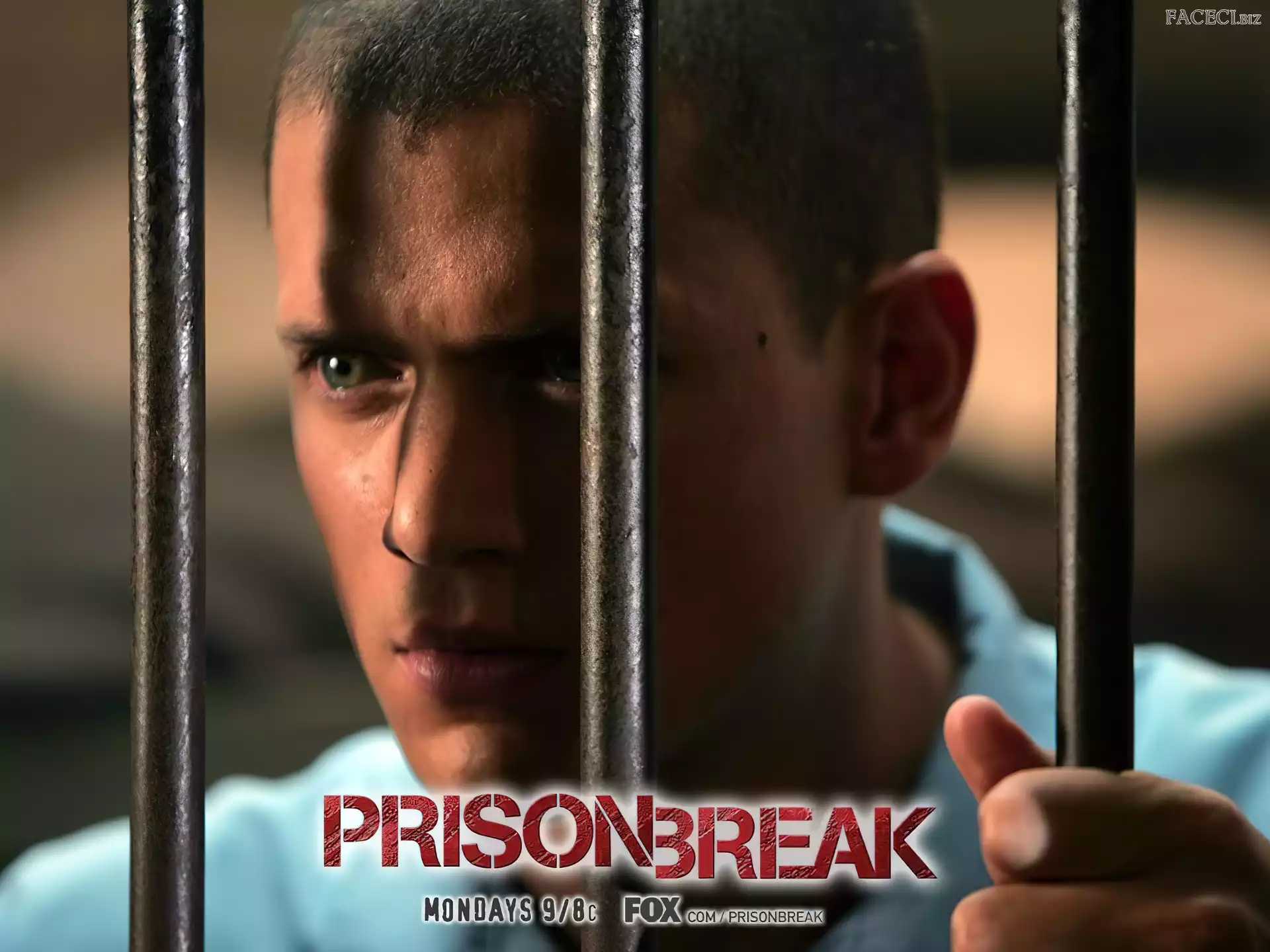 Skazany na śmierć, kraty, Prison Break, Wentworth Miller