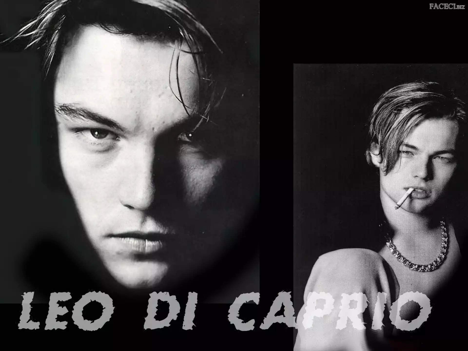łańcuch, Leonardo DiCaprio, papieros