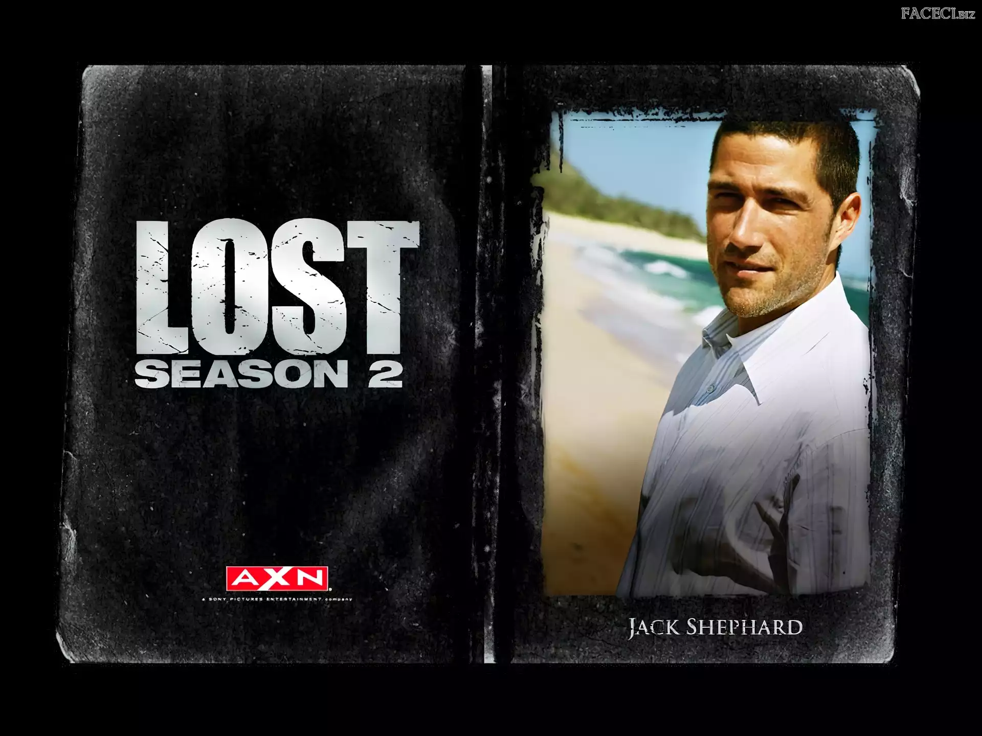 zdjęcie, koszula, Lost, Serial, Matthew Fox